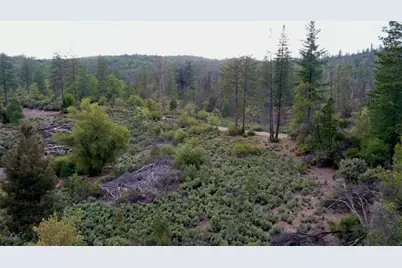 6363 Dogtown Road, Coulterville, CA 95311 - Photo 15