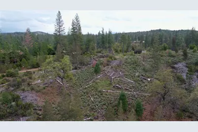 6363 Dogtown Road, Coulterville, CA 95311 - Photo 11