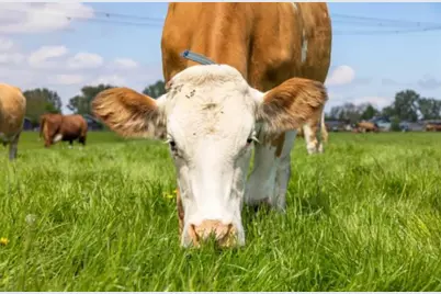 30100 Los Alamos, Murrieta, CA 92563 - Photo 7