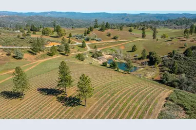 7005 Mountain Ranch Road, Mountain Ranch, CA 95246 - Photo 5