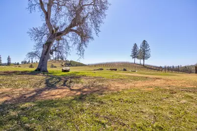 7005 Mountain Ranch Road, Mountain Ranch, CA 95246 - Photo 43