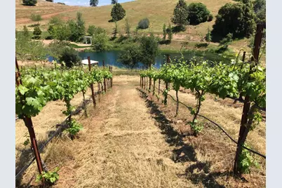 7005 Mountain Ranch Road, Mountain Ranch, CA 95246 - Photo 13