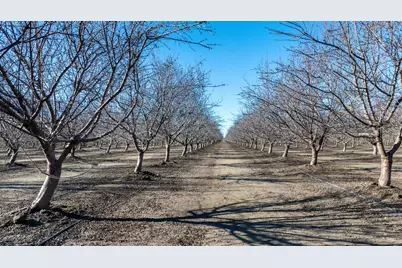 11097 S Union Road, Manteca, CA 95336 - Photo 15