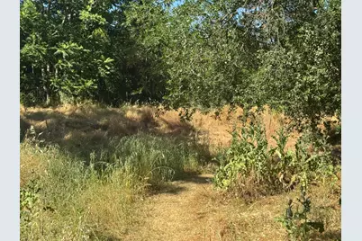 318 Preston Avenue, Ione, CA 95640 - Photo 23