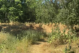 318 Preston Ave, Ione, CA 95640 - Photo 23