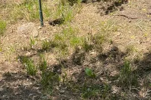 11083 Upper Previtali Rd, Jackson, CA 95642 - Photo 7