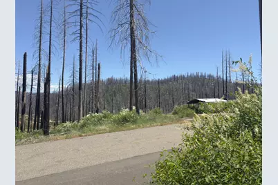 5309 Golden Aspen Drive, Grizzly Flats, CA 95636 - Photo 9