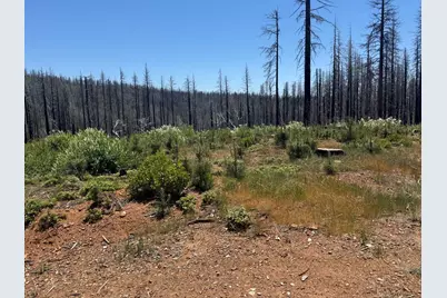 5309 Golden Aspen Drive, Grizzly Flats, CA 95636 - Photo 13