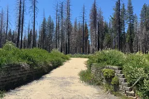 5309 Golden Aspen Dr, Grizzly Flats, CA 95636 - Photo 1