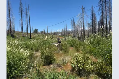 5309 Golden Aspen Drive, Grizzly Flats, CA 95636 - Photo 3