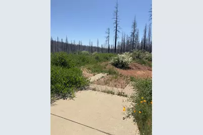5309 Golden Aspen Drive, Grizzly Flats, CA 95636 - Photo 5