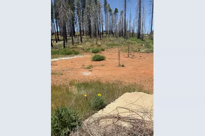 5309 Golden Aspen Drive, Grizzly Flats, CA 95636 - Photo 15