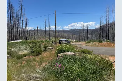 5309 Golden Aspen Drive, Grizzly Flats, CA 95636 - Photo 7