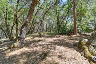 3059 Squirrel Hollow, Somerset, CA 95684 - Photo 67