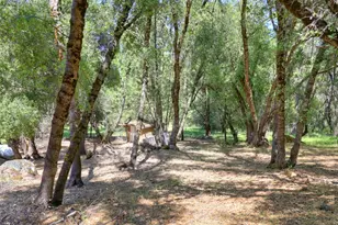 3059 Squirrel Hollow, Somerset, CA 95684 - Photo 67