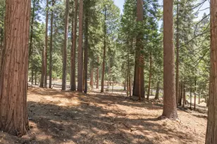 3043 Shoshone Dr, Camp Connell, CA 95223 - Photo 1