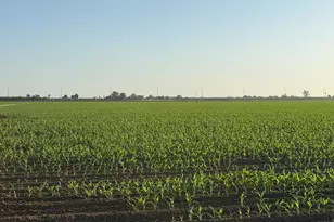 19054 CA-33, Crows Landing, CA 95313 - Photo 15