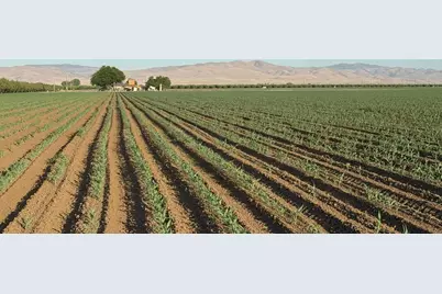 19054 Ca-33, Crows Landing, CA 95313 - Photo 27