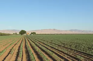 19054 CA-33, Crows Landing, CA 95313 - Photo 27