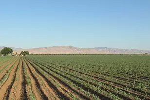 19054 CA-33, Crows Landing, CA 95313 - Photo 29