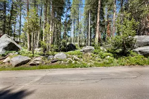 21768 Lotta Crabtree Terrace, Soda Springs, CA 95728 - Photo 1