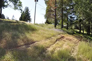 3190 Magic Morgan Trail, Cool, CA 95614 - Photo 1