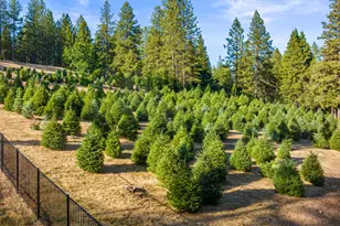 5860 Shoo Fly Rd, Placerville, CA 95667 - Photo 61