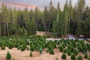 5860 Shoo Fly Rd, Placerville, CA 95667 - Photo 85