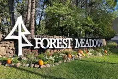1015 Dogwood Drive, Murphys, CA 95247 - Photo 1