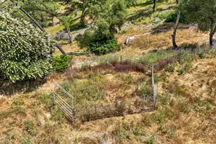 9574 Hwy 49, Mokelumne Hill, CA 95245 - Photo 83