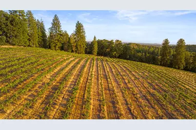 4505 Maidu Trail, Placerville, CA 95667 - Photo 63