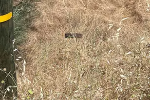 0 Hoyito, La Grange, CA 95329 - Photo 1