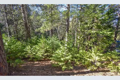 24184 Awahanee Road, Sonora, CA 95370 - Photo 9