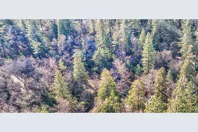 24184 Awahanee Road, Sonora, CA 95370 - Photo 3