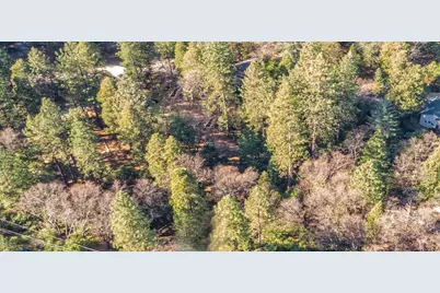 24184 Awahanee Road, Sonora, CA 95370 - Photo 5