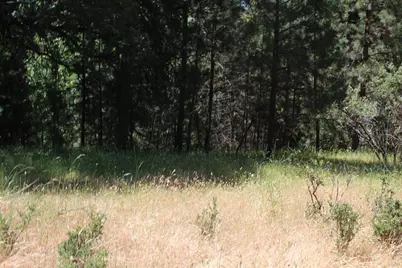 21785 Highway 26, West Point, CA 95255 - Photo 5