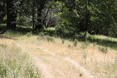 21785 Highway 26, West Point, CA 95255 - Photo 3