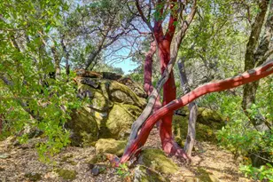 13994 Chukar Dr, Grass Valley, CA 95949 - Photo 29