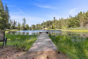 499 McCarthy Reservoir Rd, Rail Road Flat, CA 95245 - Photo 55