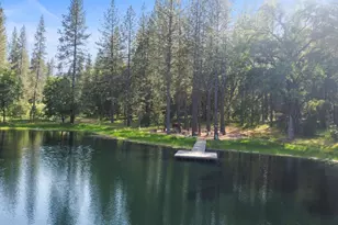 499 McCarthy Reservoir Rd, Rail Road Flat, CA 95245 - Photo 7