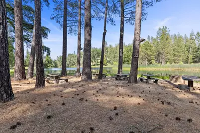 499 McCarthy Reservoir Road #2, Rail Road Flat, CA 95245 - Photo 53