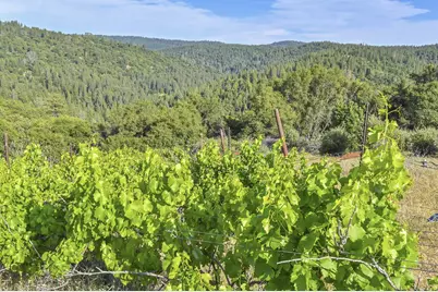 7240 Happy Valley Road, Somerset, CA 95684 - Photo 1