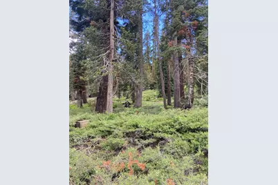 20621 US Highway 50, South Lake Tahoe, CA 96150 - Photo 1