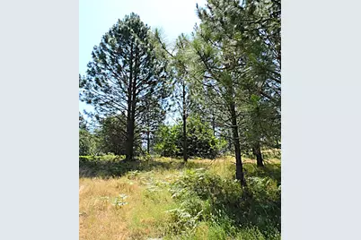 165 Freshwater Lane, El Dorado, CA 95623 - Photo 19