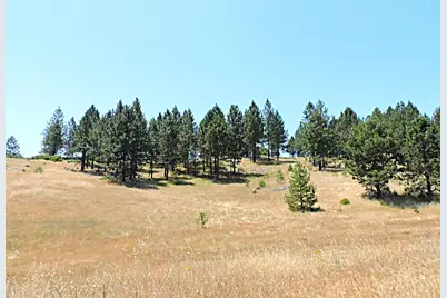 165 Freshwater Lane, El Dorado, CA 95623 - Photo 23