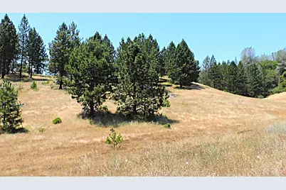 165 Freshwater Lane, El Dorado, CA 95623 - Photo 25