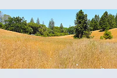 165 Freshwater Lane, El Dorado, CA 95623 - Photo 31
