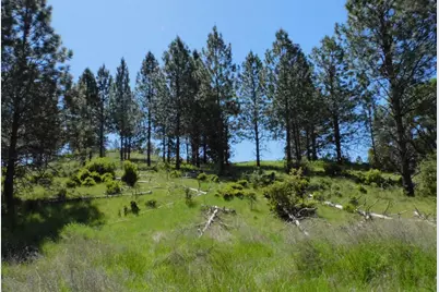 165 Freshwater Lane, El Dorado, CA 95623 - Photo 11