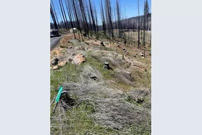 5011 Storybook Court, Grizzly Flats, CA 95636 - Photo 5