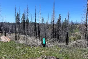 5011 Storybook Ct, Grizzly Flats, CA 95636 - Photo 1